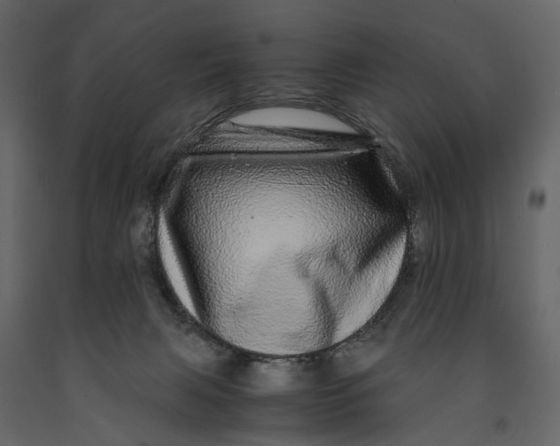 X0000091100079200708271324