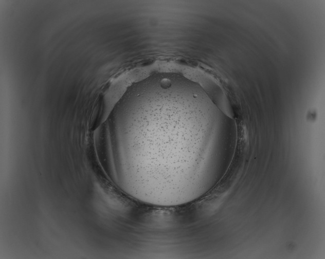 X0000091100080200708271324