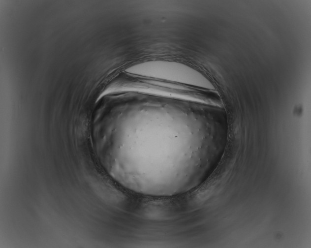 X0000091100081200708271324