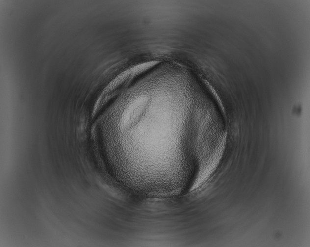 X0000091100082200708271324