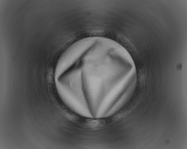 X0000091100083200708271324