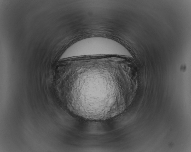 X0000091100085200708271325