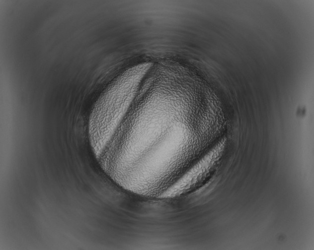 X0000091100086200708271325