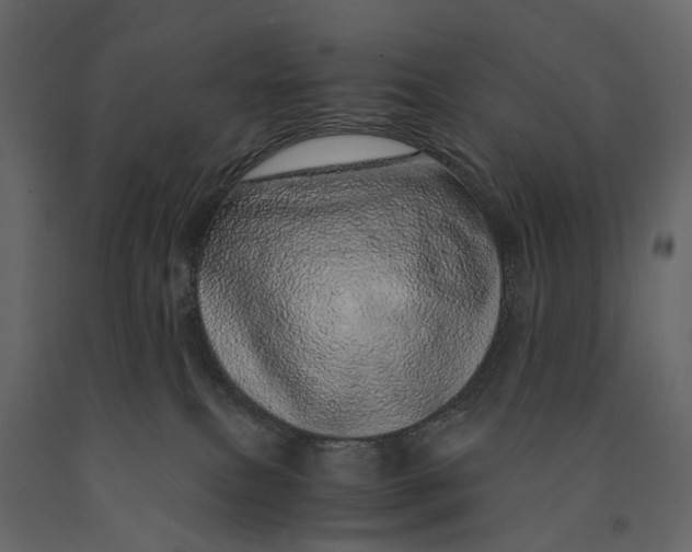 X0000091100087200708271325