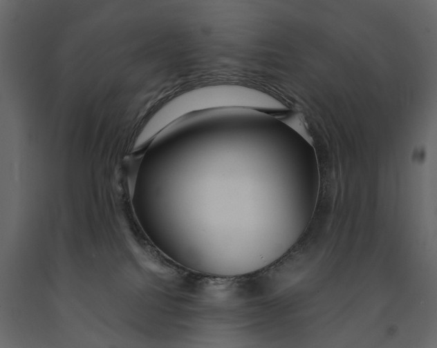 X0000091100088200708271325