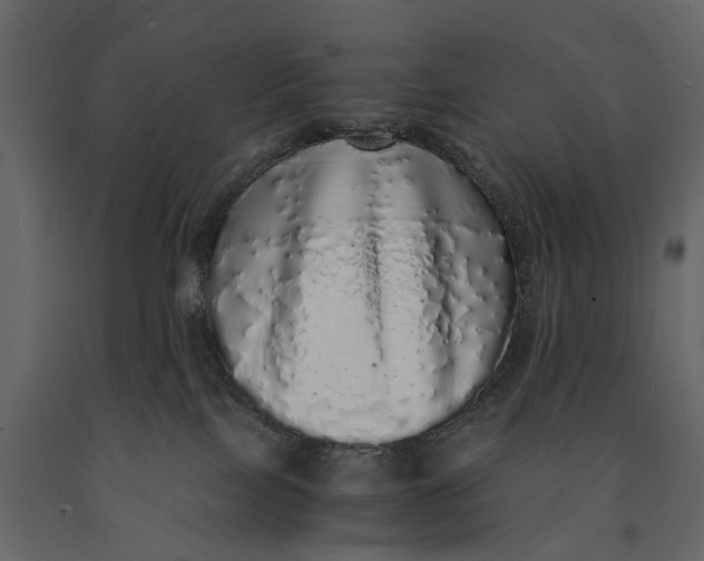 X0000091100089200708271325