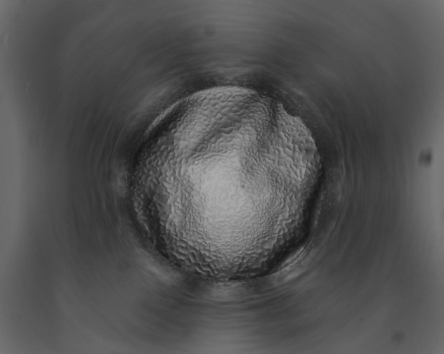 X0000091100090200708271325