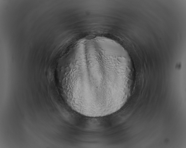 X0000091100091200708271325