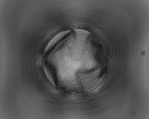 X0000091100094200708271325