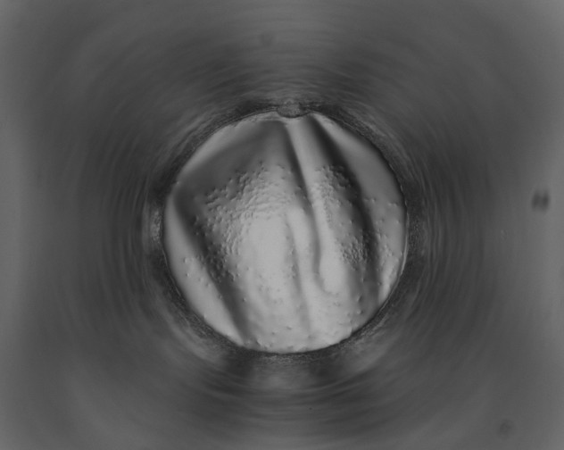 X0000091100095200708271325