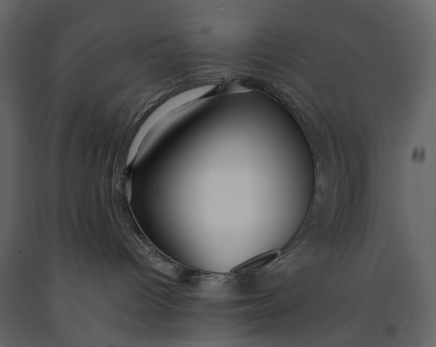 X0000091100096200708271325