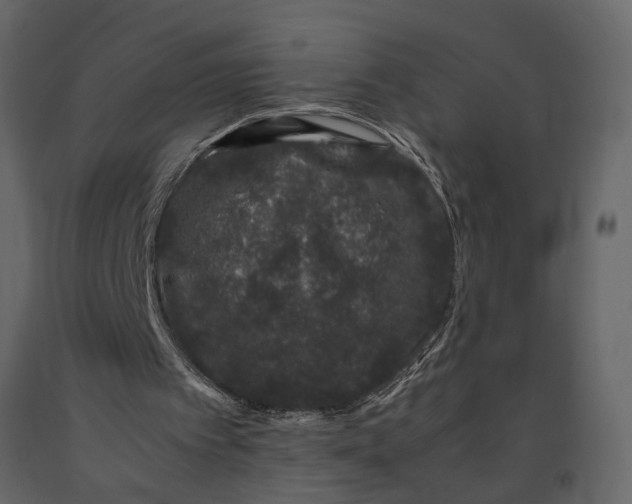 X0000091100097200708271324