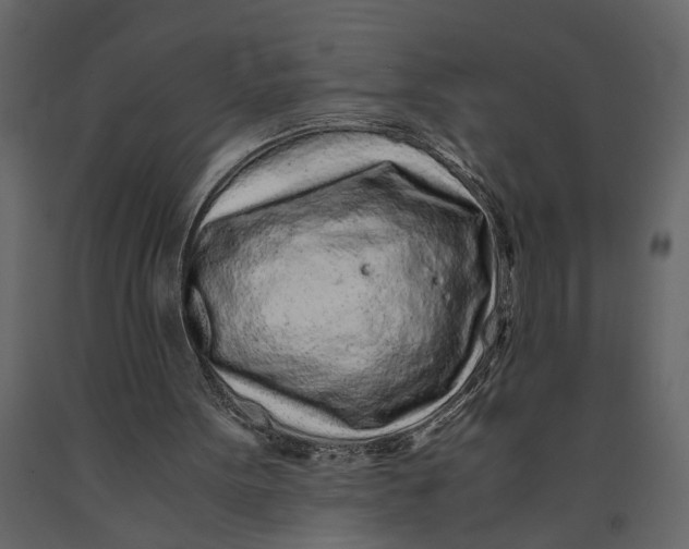 X0000091100099200708271324