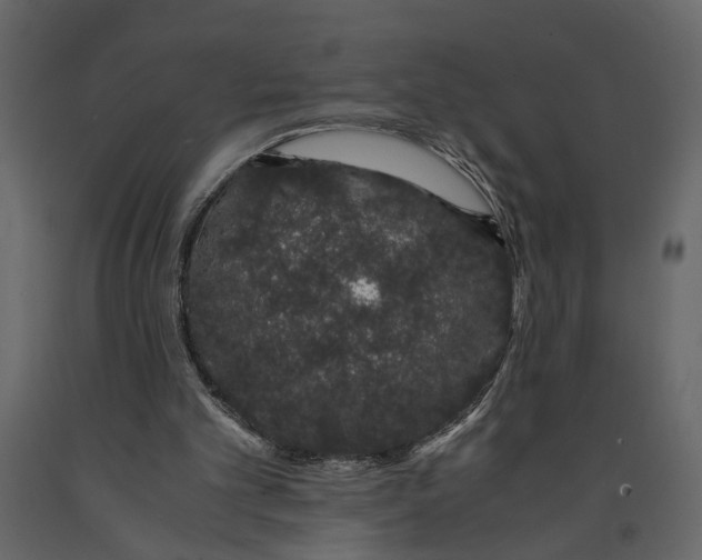 X0000091100101200708271324