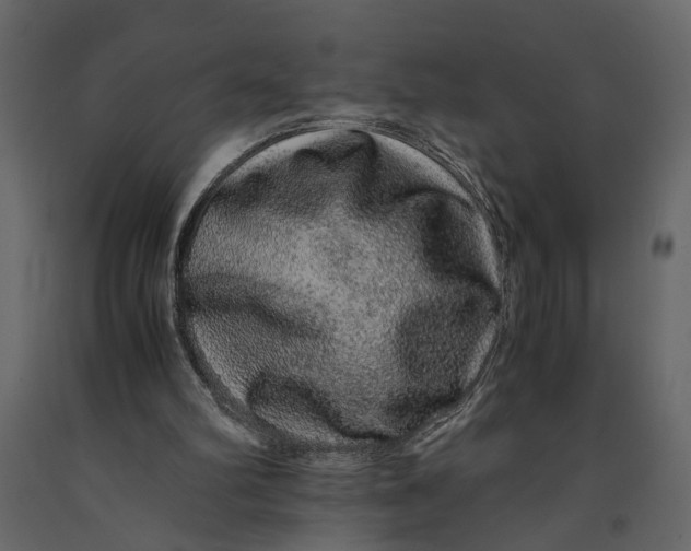 X0000091100102200708271324