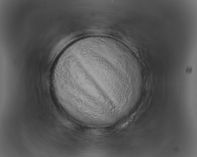 X0000091100103200708271324