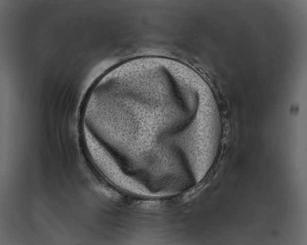 X0000091100104200708271324