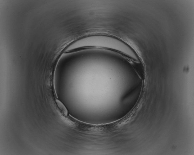 X0000091100105200708271324