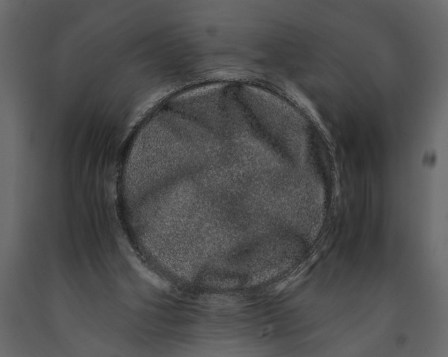 X0000091100106200708271324