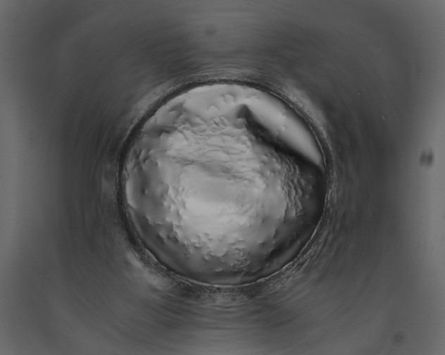 X0000091100107200708271324