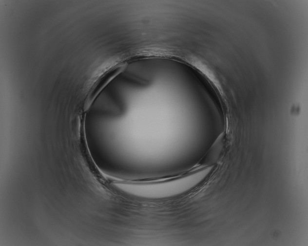 X0000091100109200708271324