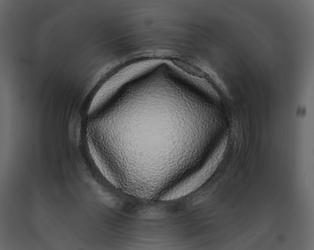 X0000091100110200708271324