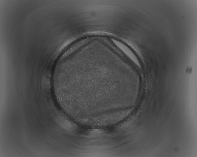 X0000091100111200708271324