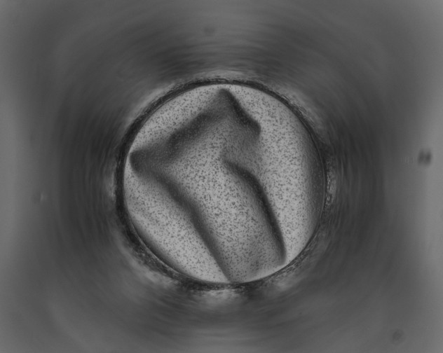 X0000091100112200708271324