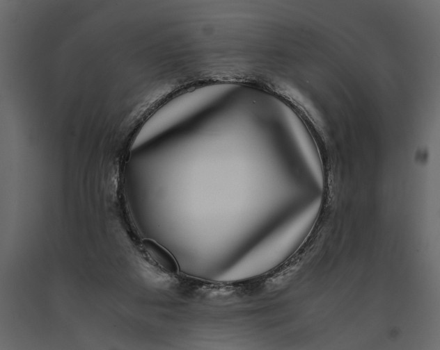 X0000091100113200708271324