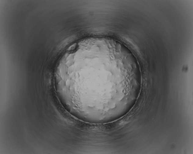 X0000091100115200708271324