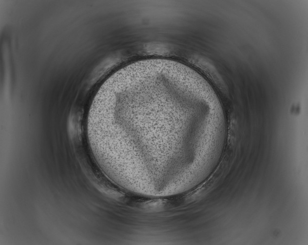 X0000091100116200708271324