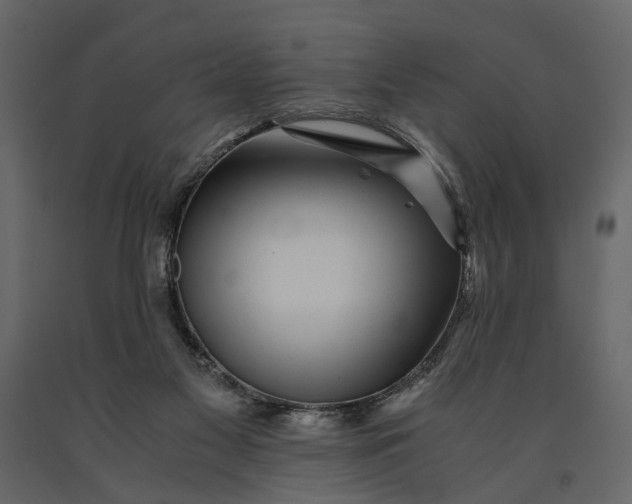 X0000091100117200708271324