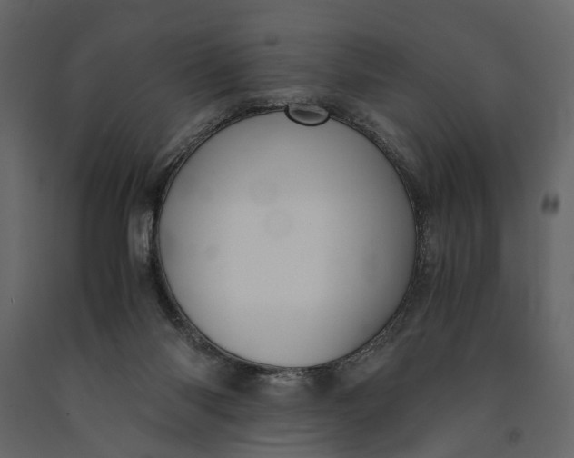 X0000091100118200708271324