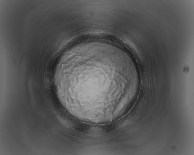 X0000091100119200708271324