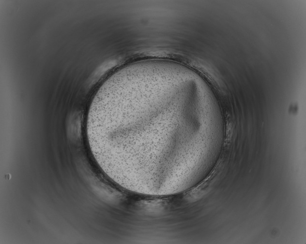 X0000091100120200708271324