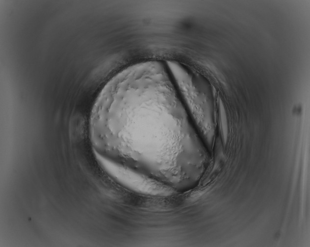 X0000091100123200708271324