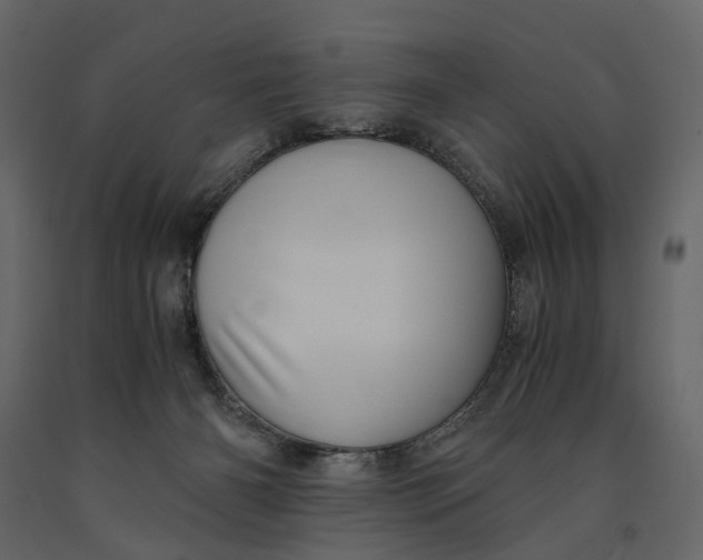 X0000091100126200708271324