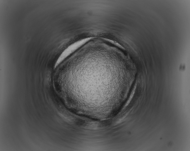 X0000091100127200708271324