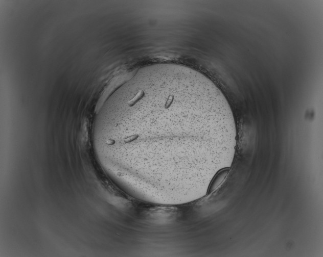 X0000091100128200708271324