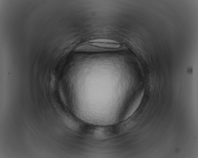 X0000091100130200708271324