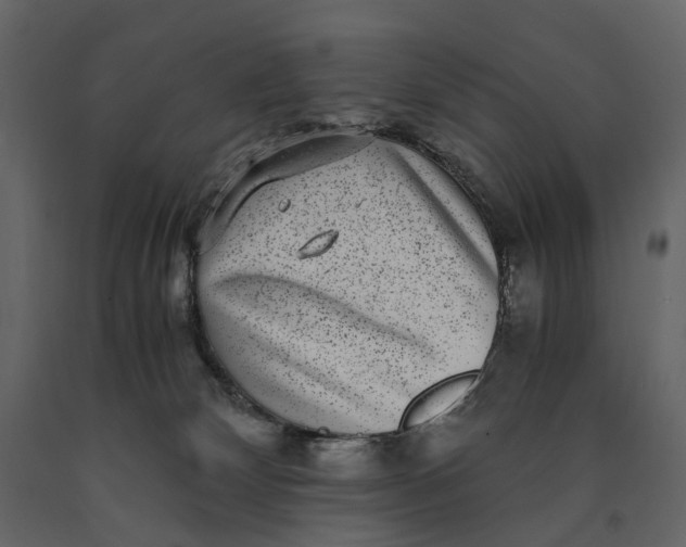 X0000091100132200708271324