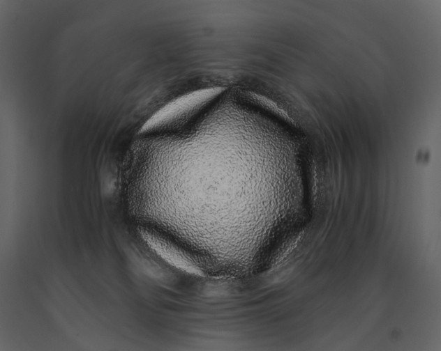 X0000091100134200708271324