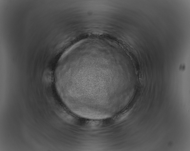 X0000091100135200708271324