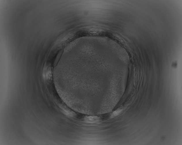 X0000091100137200708271324