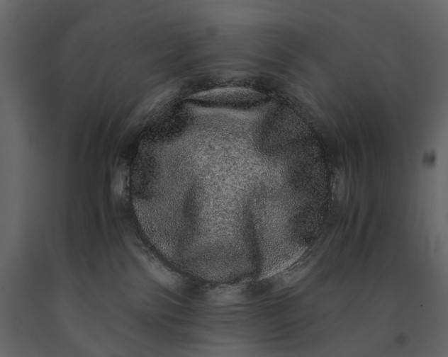 X0000091100138200708271324