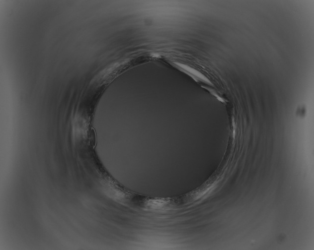 X0000091100139200708271324