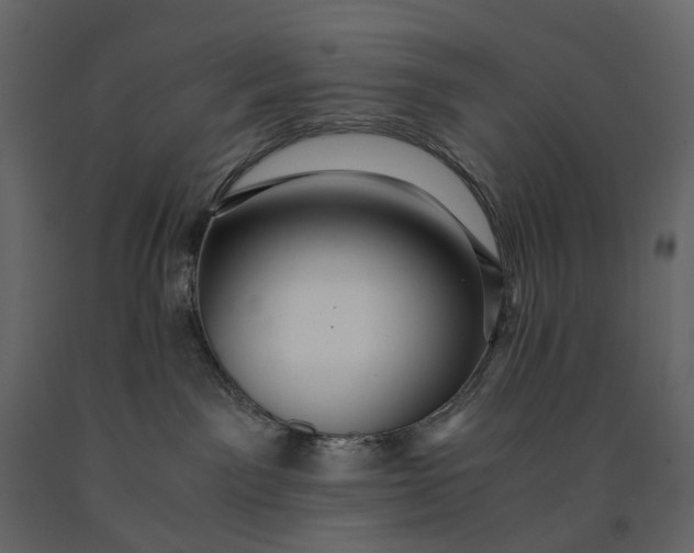 X0000091100141200708271323