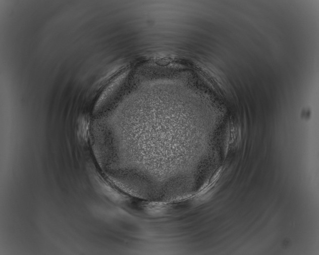 X0000091100142200708271323