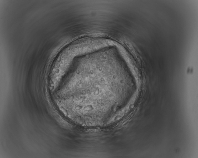 X0000091100145200708271323