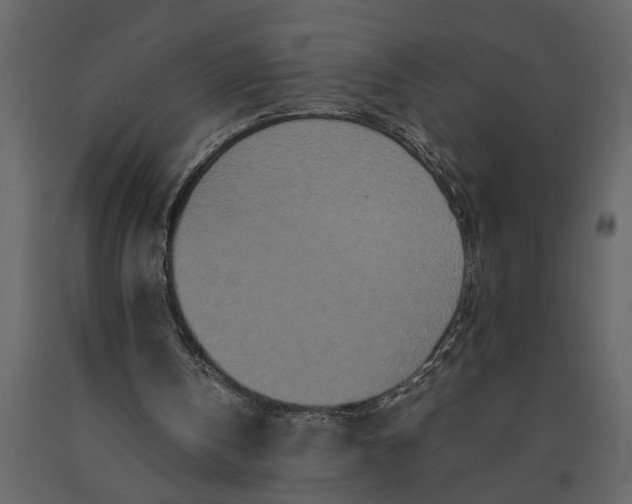 X0000091100146200708271323